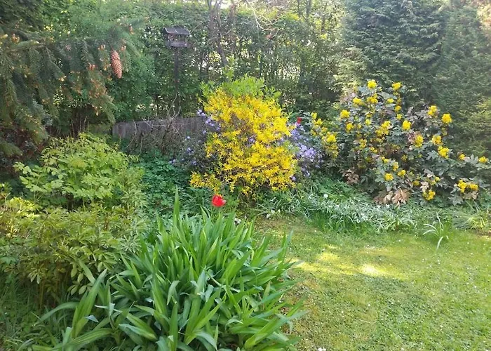 Hradiska Jablonné nad Orlicí